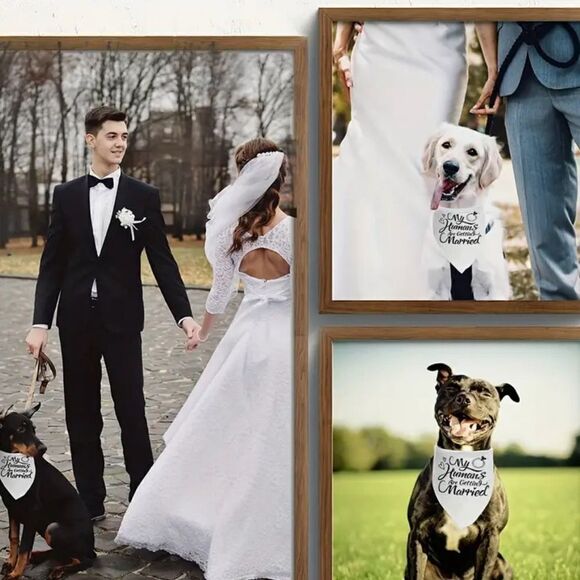 WEDDING DOG BANDANA My Humans are Getting Married. Brand New. - Picture 2 of 4